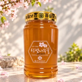 산벚나무꿀 2.4kg (100%숙성생꿀) 26년도 햇꿀
