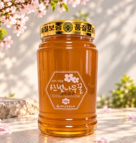 산벚나무꿀 2.4kg (100%숙성생꿀) 26년도 햇꿀