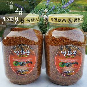 햇가을고급건조화분 2kg