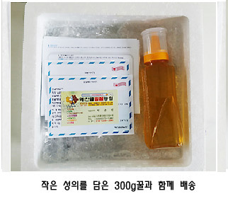 햇가을고급건조화분 2kg