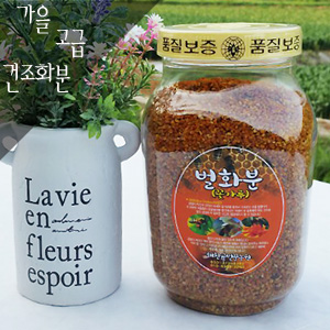 햇가을고급건조화분 1kg